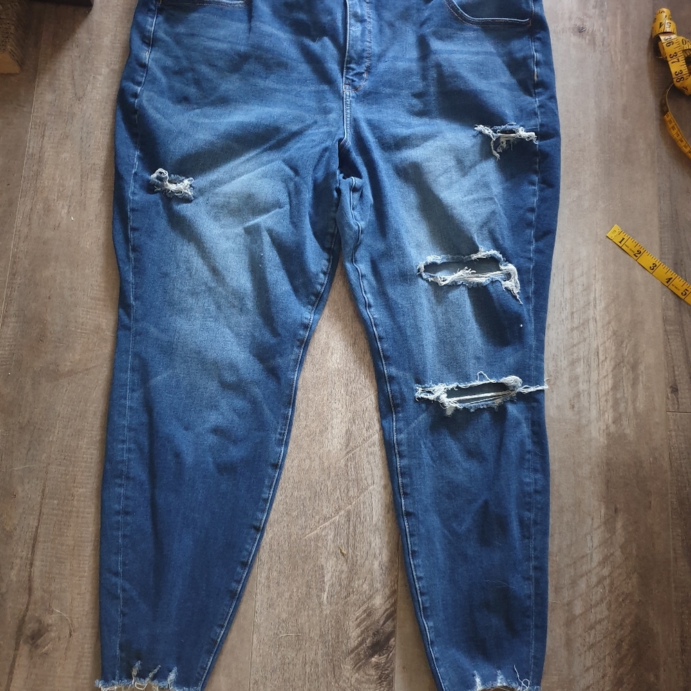 American Eagle Outfitters Blue Distressed Skinny Jeans